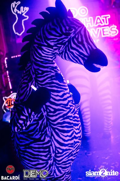Clap & Bacardi pres. Night Safari at DEMO — photo 12