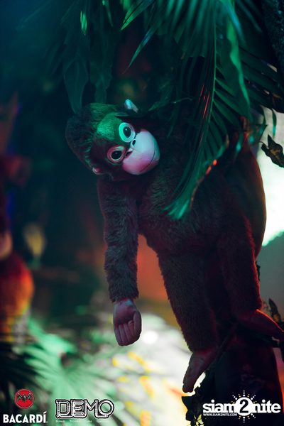 Clap & Bacardi pres. Night Safari at DEMO — photo 88