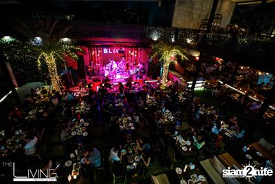 MEAN at The Living Bistro & Bar | Pattaya — photo 39