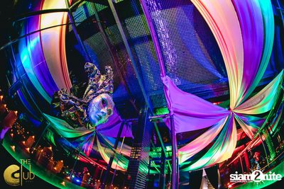Mardi Gras ที่ The Club at Koi — photo 58