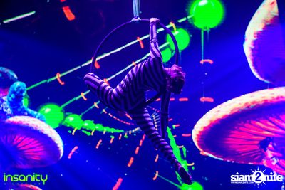 Wicked Wonderland ที่ Insanity Nightclub — photo 20