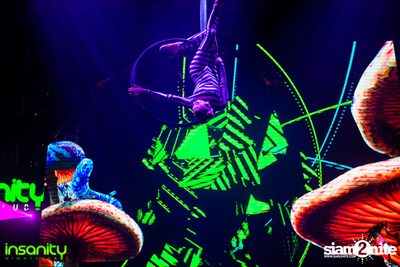 Wicked Wonderland ที่ Insanity Nightclub — photo 22