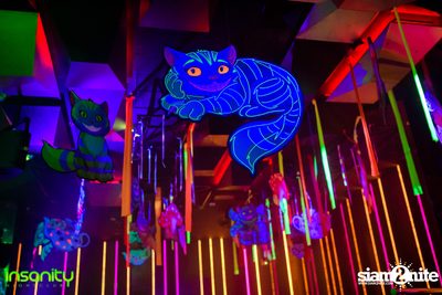 Wicked Wonderland ที่ Insanity Nightclub — photo 54