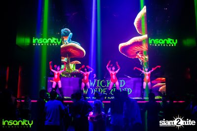 Wicked Wonderland ที่ Insanity Nightclub — photo 57