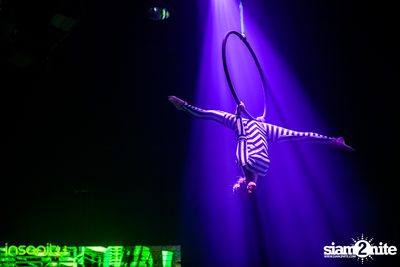 Wicked Wonderland ที่ Insanity Nightclub — photo 127