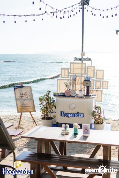 Hoegaarden: What a Sur-Pint Live in Chonburi | Surf & Turf Pattaya — photo 35