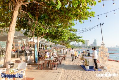 Hoegaarden: What a Sur-Pint Live in Chonburi | Surf & Turf Pattaya — photo 90