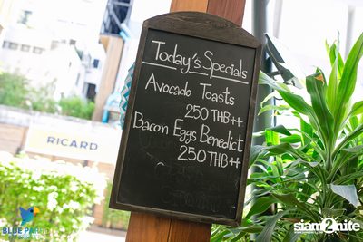 งานครบรอบ 3 ปีที่ร้าน Blue Parrot (อัลบั้ม 1) — photo 23