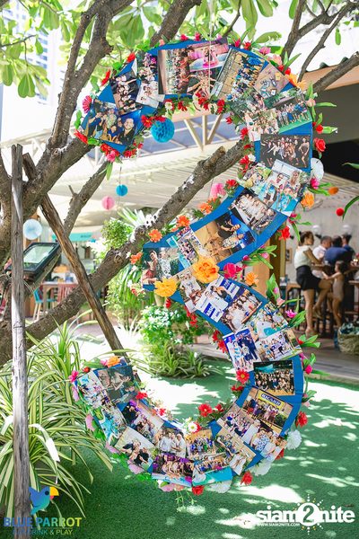 งานครบรอบ 3 ปีที่ร้าน Blue Parrot (อัลบั้ม 1) — photo 30