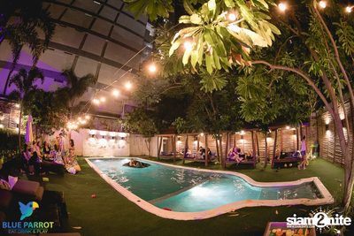 งานครบรอบ 3 ปีที่ร้าน Blue Parrot (อัลบั้ม 2) — photo 24