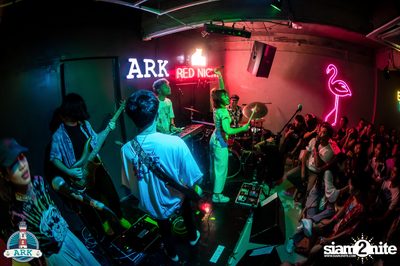 Grand Opening at Ark (Marin) — photo 121