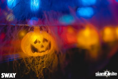 Halloween Night ที่ Sway — photo 32