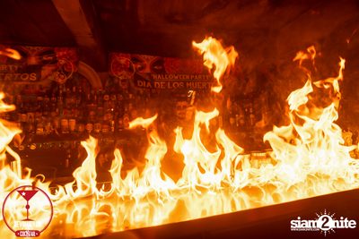 Dia De Muertos at Revolucion Cocktail — photo 59