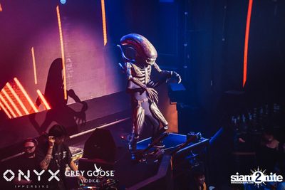 Dark Side Of The Moon at ONYX — photo 63