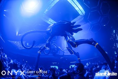 Dark Side Of The Moon at ONYX — photo 86