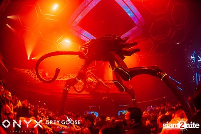 Dark Side Of The Moon at ONYX — photo 87