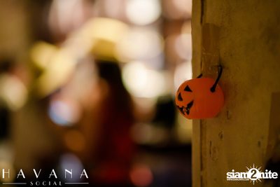 Dia De Los Muertos Party ที่ Havana Social — photo 29