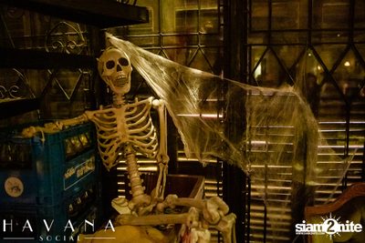 Dia De Los Muertos Party ที่ Havana Social — photo 94