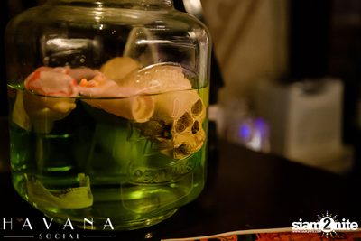 Dia De Los Muertos Party ที่ Havana Social — photo 124