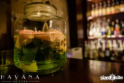 Dia De Los Muertos Party ที่ Havana Social — photo 125
