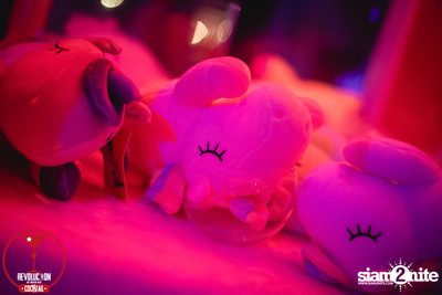 Unicorn Party - Ladies Night | Revolucion Cocktail — photo 87