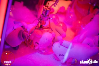 Unicorn Party - Ladies Night | Revolucion Cocktail — photo 88