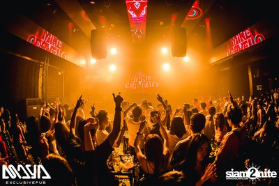 Mike Cervello at Maya Club — photo 134