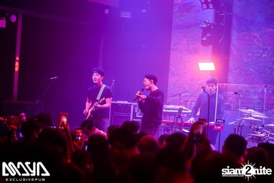 Potato at Maya Club — photo 43