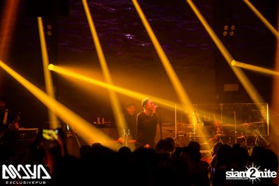 Potato at Maya Club — photo 44