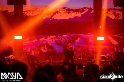 Potato at Maya Club — photo 46
