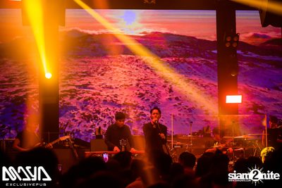 Potato at Maya Club — photo 47