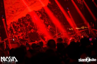 Potato at Maya Club — photo 49