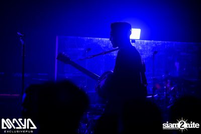 Potato at Maya Club — photo 53