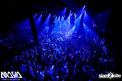 Potato at Maya Club — photo 84