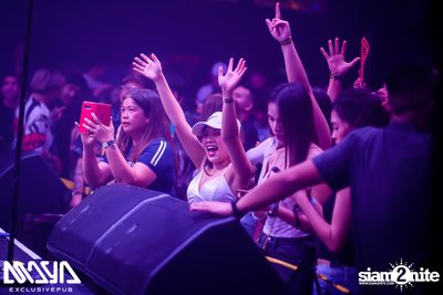 Potato at Maya Club — photo 96