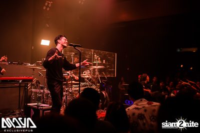 Potato at Maya Club — photo 113