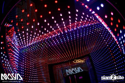 The Toys at Maya Club — photo 35