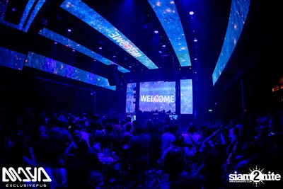 The Toys at Maya Club — photo 95
