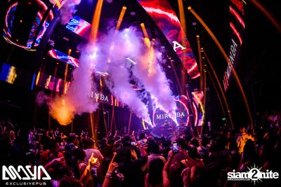 The Toys at Maya Club — photo 98