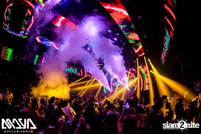 The Toys at Maya Club — photo 99