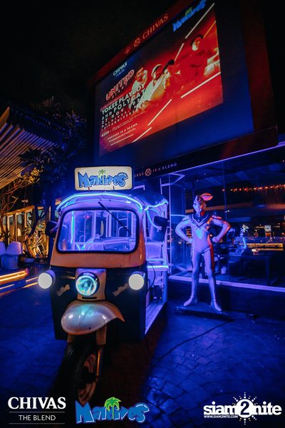 Polycat x Yokee Playboy at Maldives — photo 6