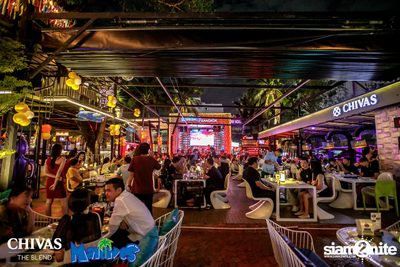 Polycat x Yokee Playboy at Maldives — photo 8