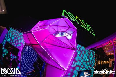 Wiwek at Maya Club — photo 9