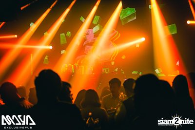 Wiwek at Maya Club — photo 59