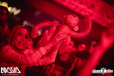Wiwek at Maya Club — photo 81