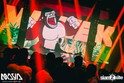 Wiwek at Maya Club — photo 83