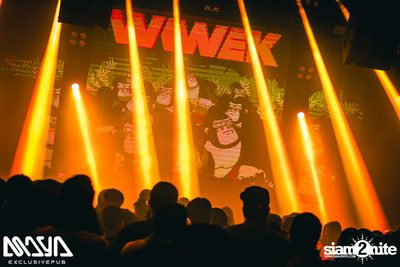 Wiwek at Maya Club — photo 84