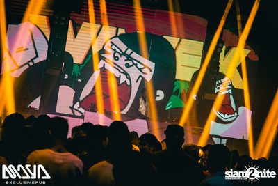 Wiwek at Maya Club — photo 85