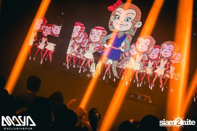 Wiwek at Maya Club — photo 87