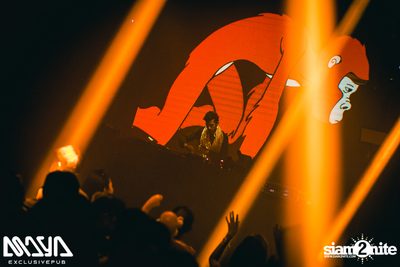 Wiwek at Maya Club — photo 89